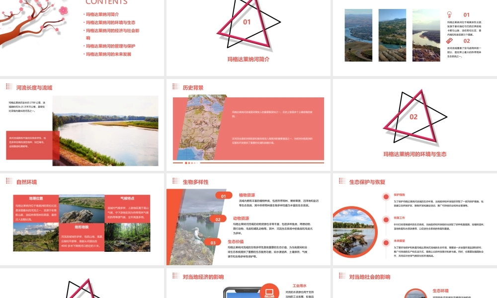 玛格达莱纳河课件
