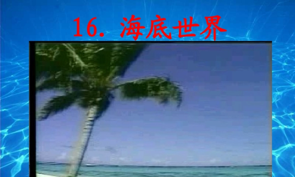 海底世界PPT课件