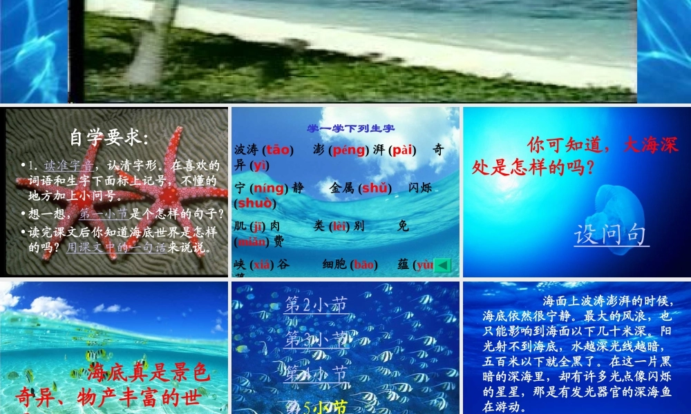 海底世界PPT课件