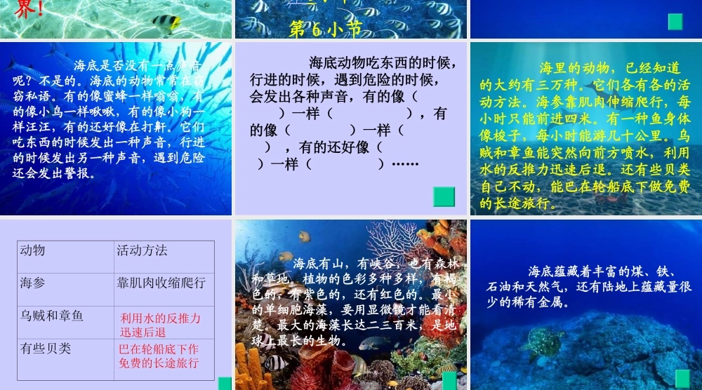 海底世界PPT课件