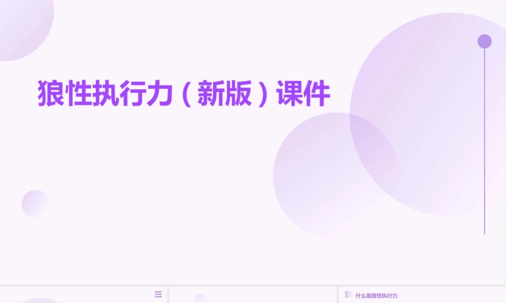 狼性执行力(新版)课件