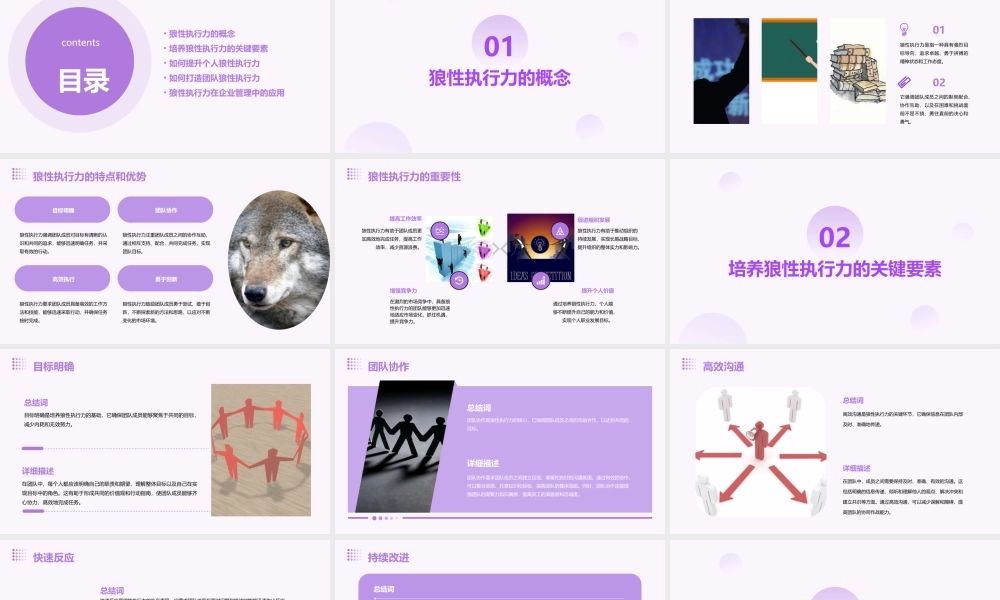 狼性执行力(新版)课件