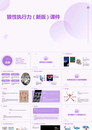 狼性执行力(新版)课件