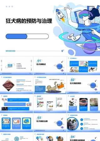 狂犬病的预防与治理课件