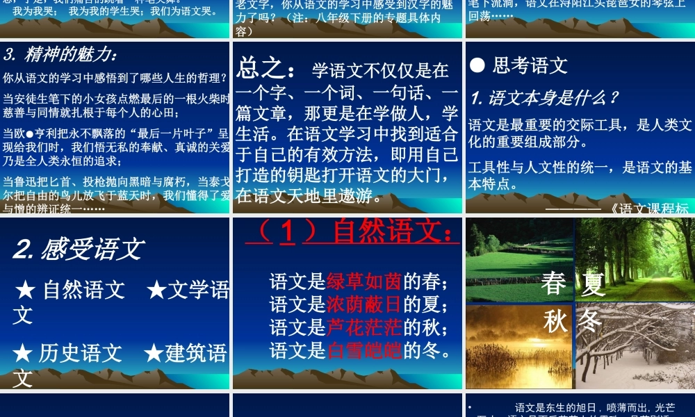 专题我心中的语文