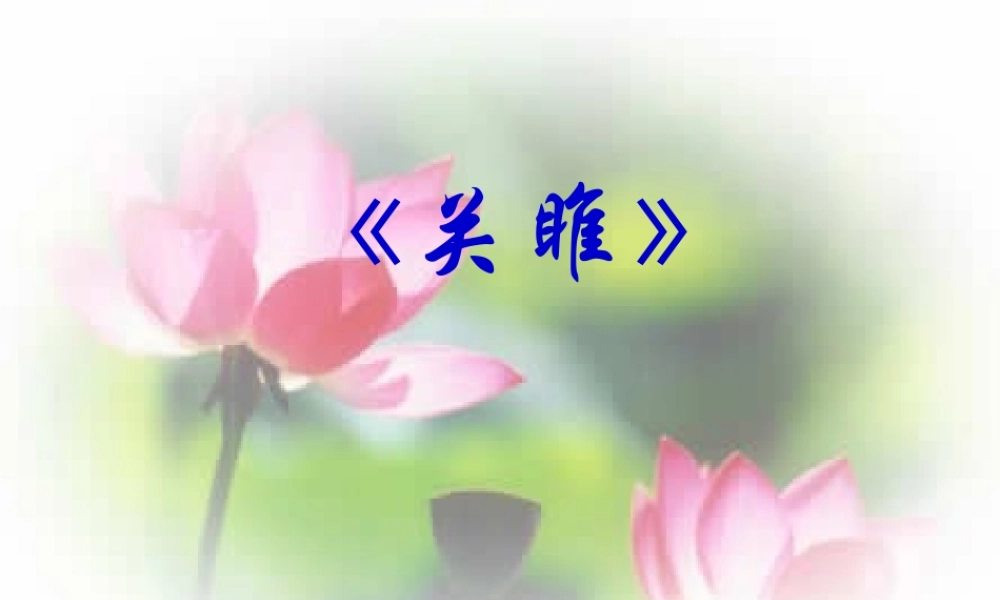 关雎蒹葭课件