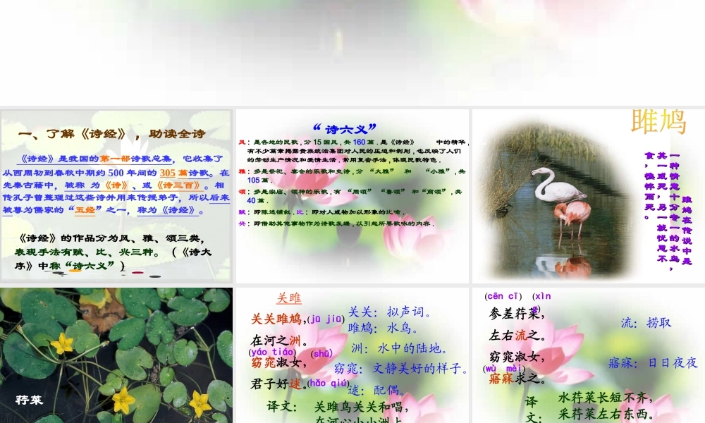 关雎蒹葭课件