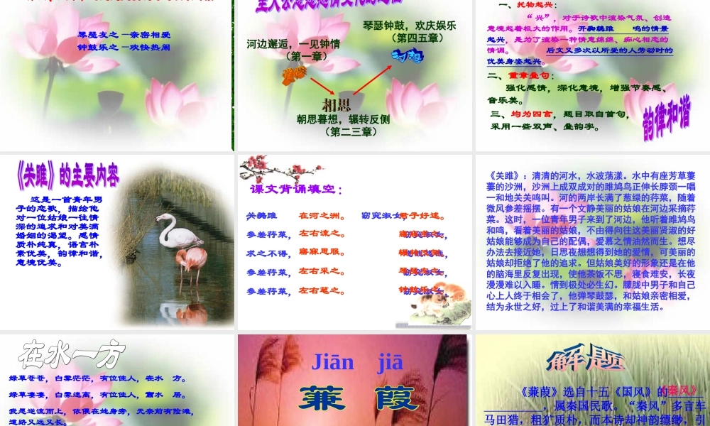 关雎蒹葭课件