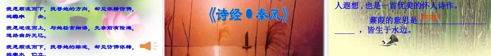 关雎蒹葭课件