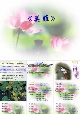 关雎蒹葭课件