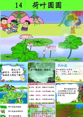 荷叶圆圆 (5)