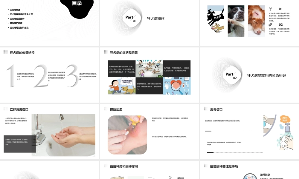 狂犬病暴露后的处置课件