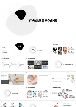 狂犬病暴露后的处置课件