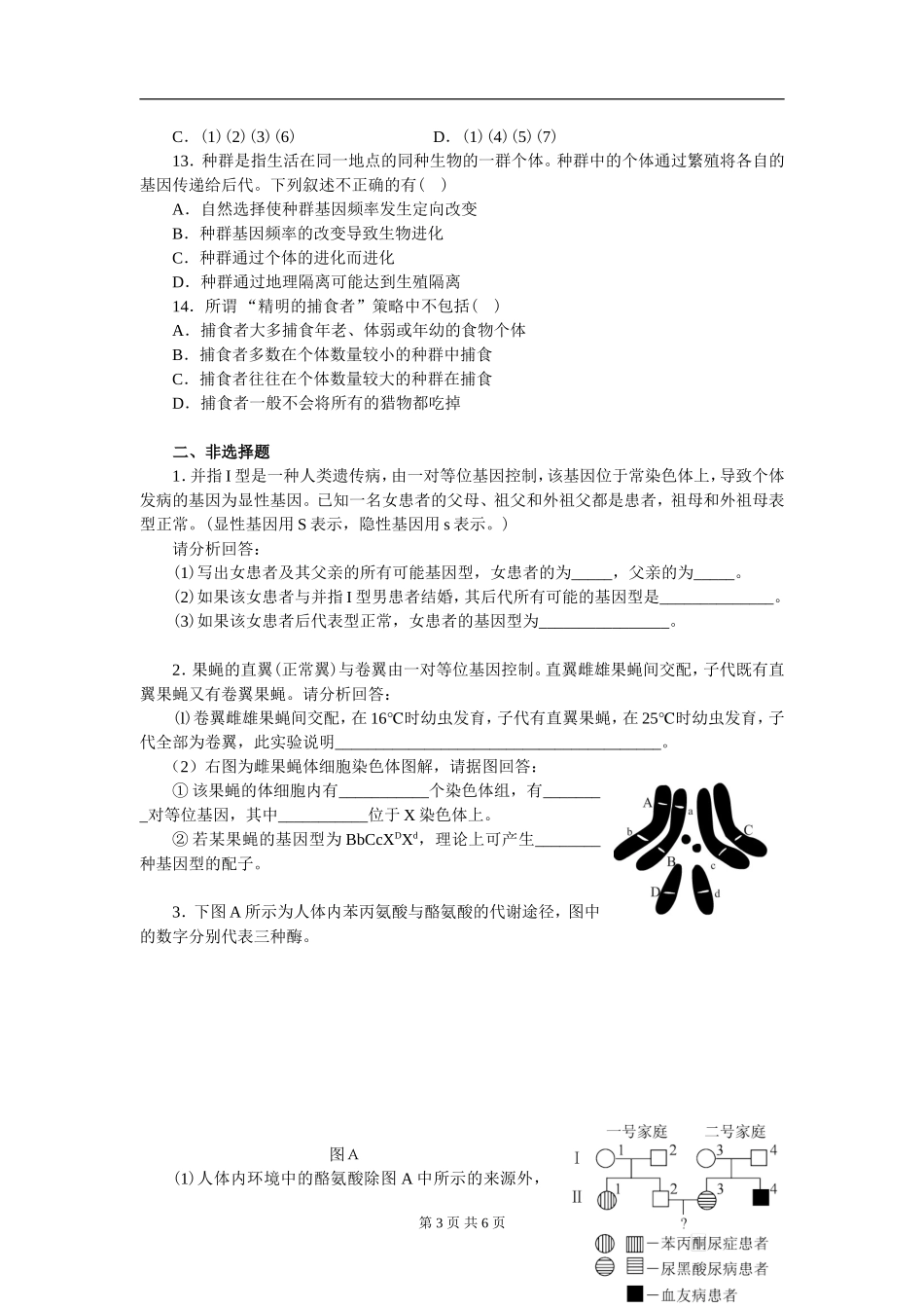 高中生物必修2期末测试题(免费)_第3页