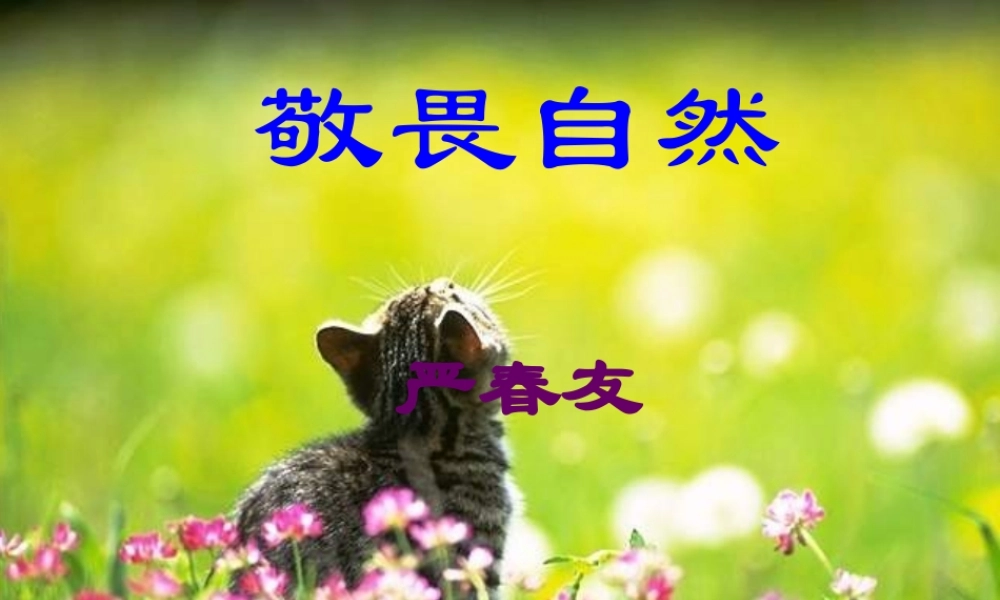 严春友：敬畏自然