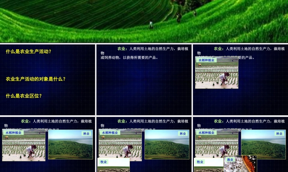 高一地理《32农业区位因素与农业地域类型》