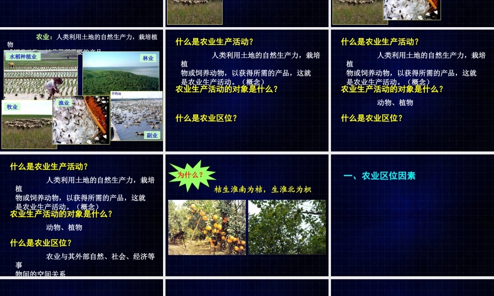 高一地理《32农业区位因素与农业地域类型》