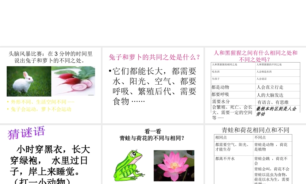 三年级上册科学课件《动物植物人》