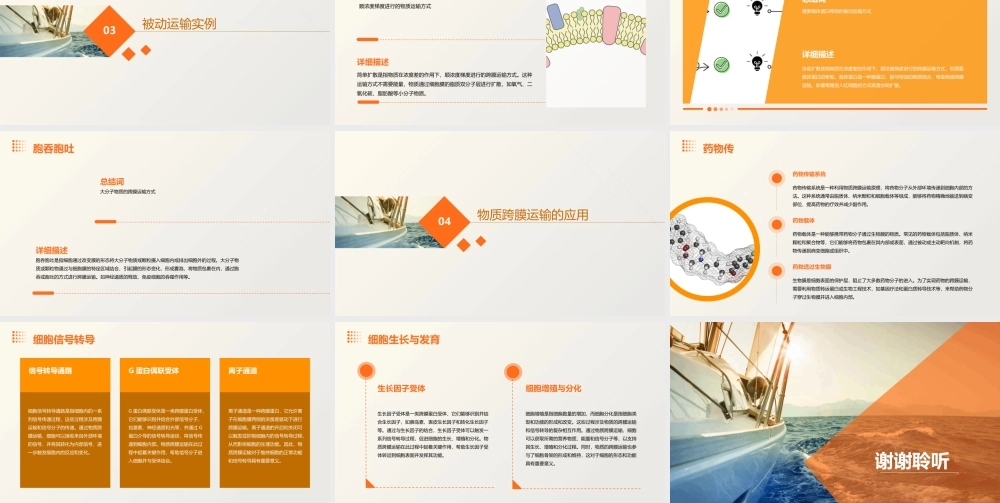 物质跨膜运输的实例(二)课件