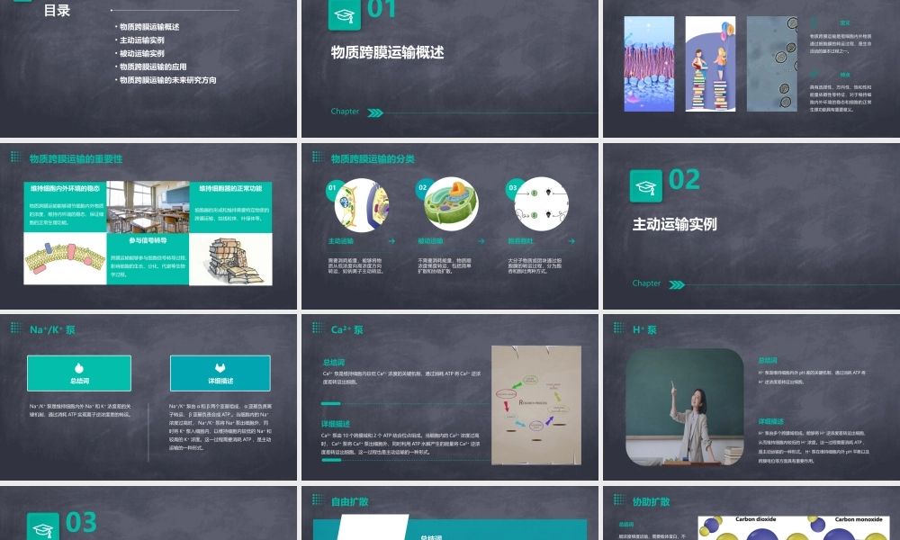 物质跨膜运输的实例复习课件