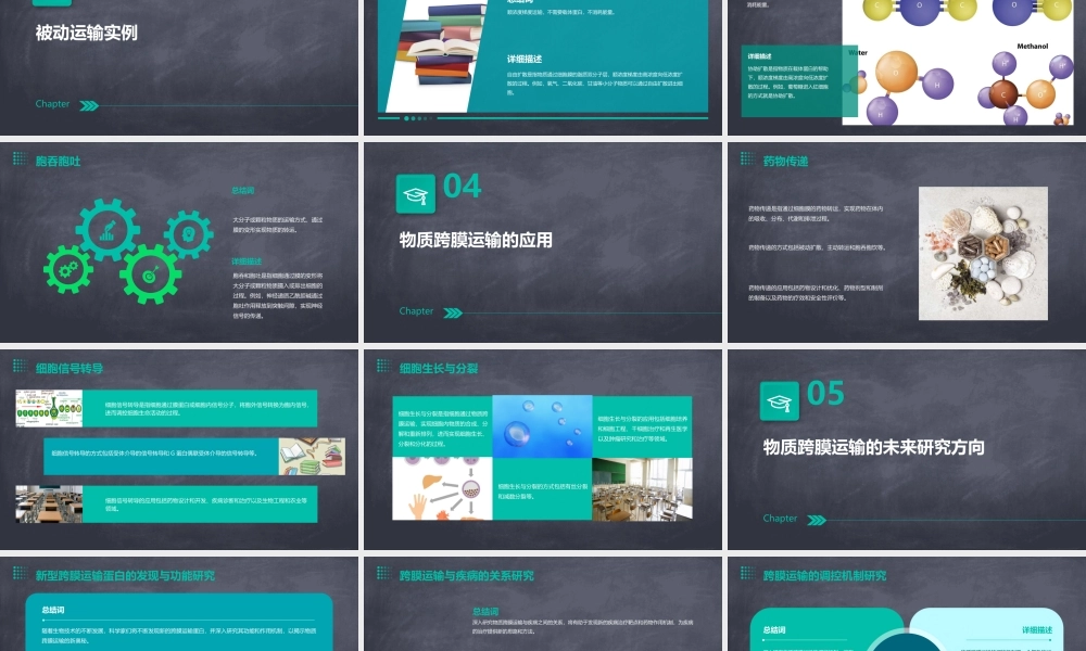 物质跨膜运输的实例复习课件