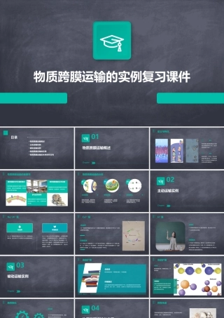物质跨膜运输的实例复习课件