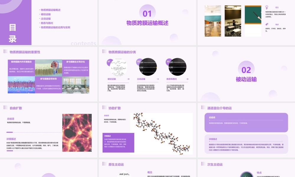物质跨膜运输的方式(通用课件)