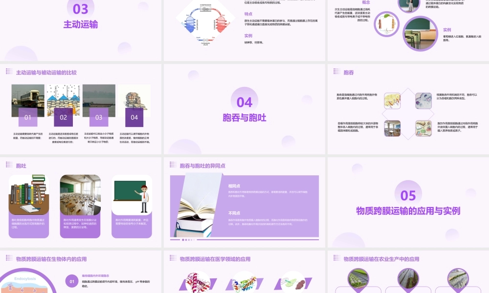 物质跨膜运输的方式(通用课件)