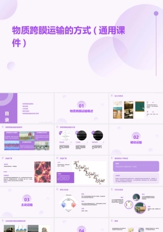 物质跨膜运输的方式(通用课件)