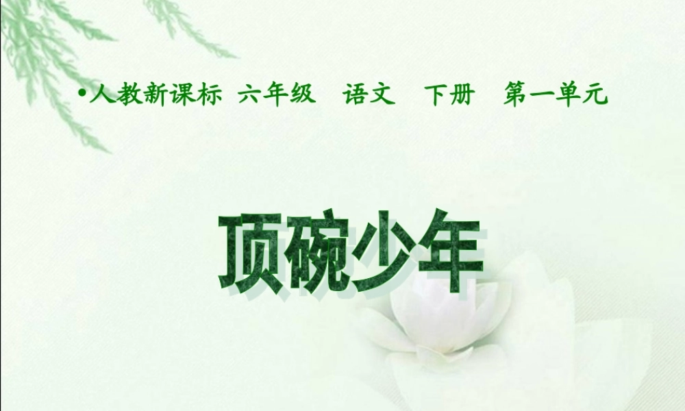 沪江小学资源网_六年级语文下册课件顶碗少年_2013012113826335_764