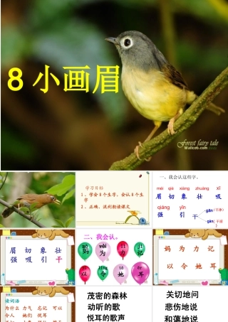 小画眉 课件