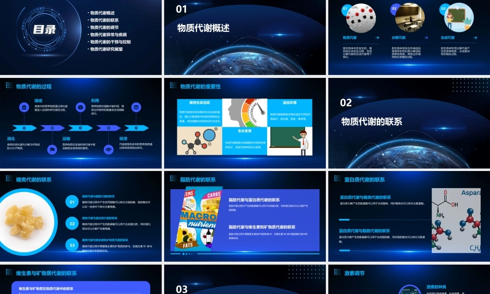 物质代谢联系与调节(本)课件