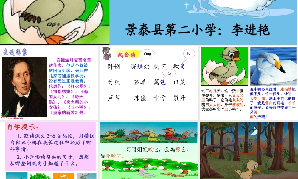 《丑小鸭》课件 (3)
