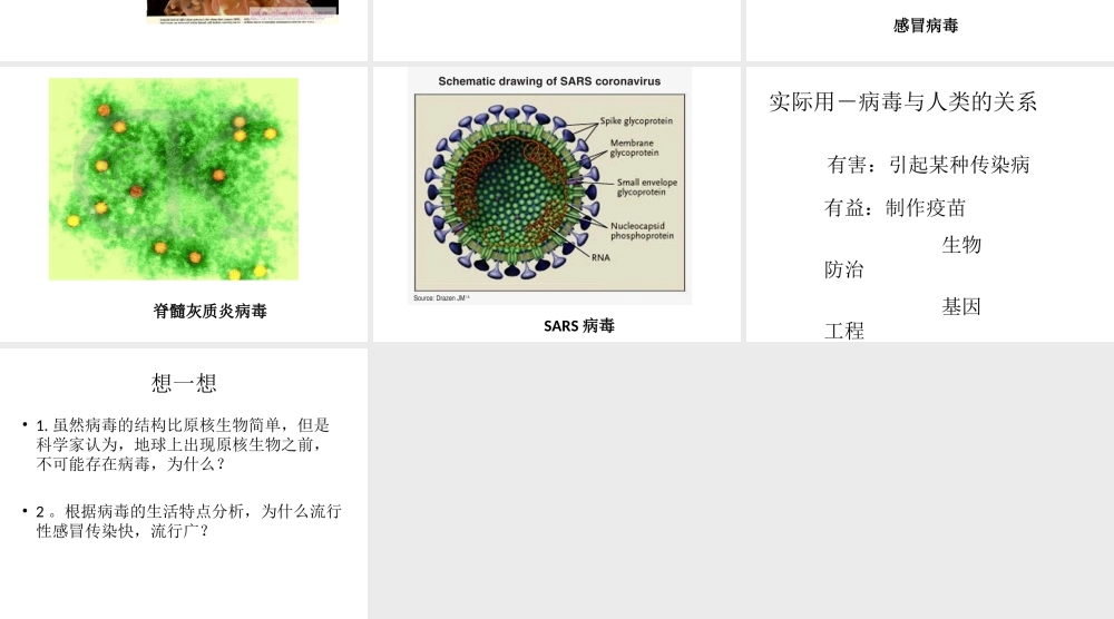 八上第五单元第三章病毒的控制和利用