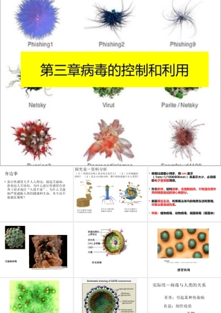 八上第五单元第三章病毒的控制和利用