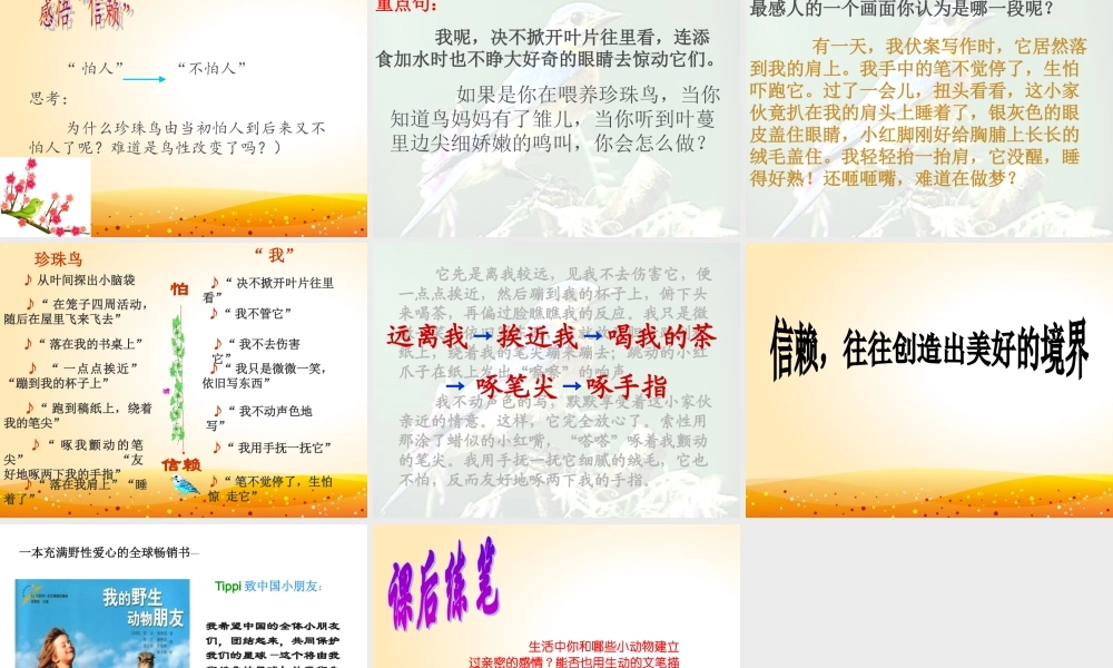 人教版五年级语文上册《珍珠鸟》课件