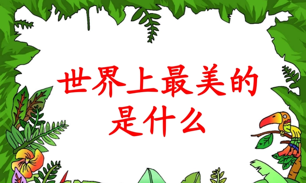 世界上最美的是什么教学课件