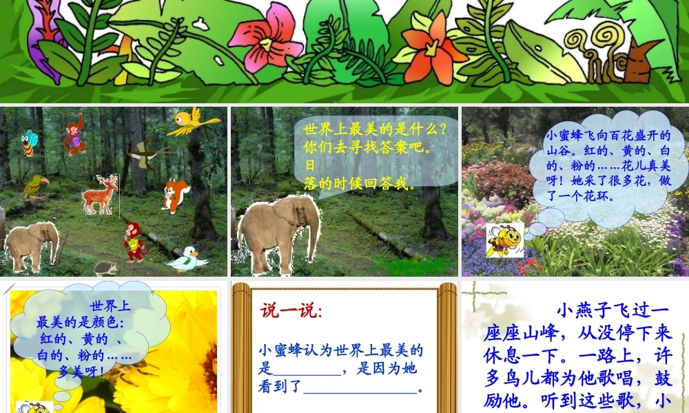 世界上最美的是什么教学课件