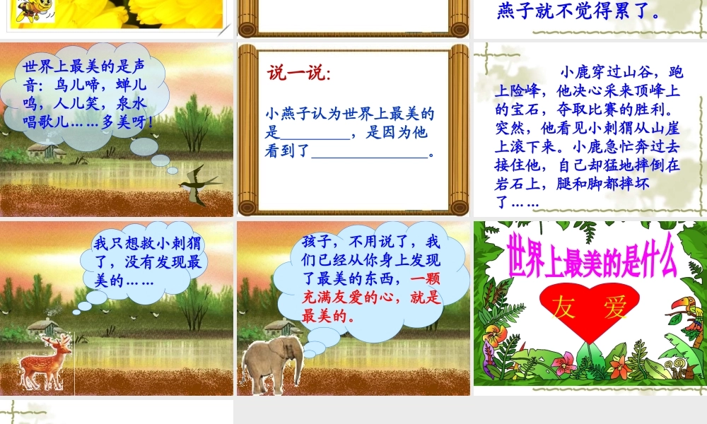 世界上最美的是什么教学课件