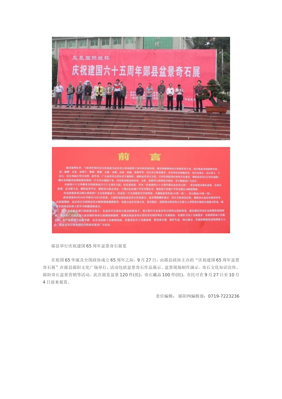 国庆奇石展作品18_第2页