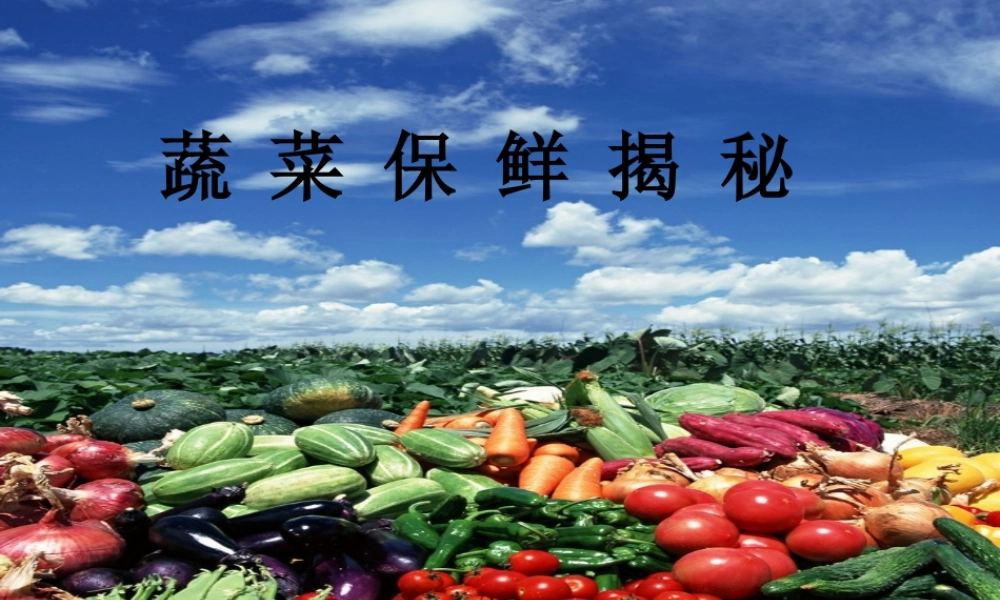 {蔬菜保鲜揭秘}课件