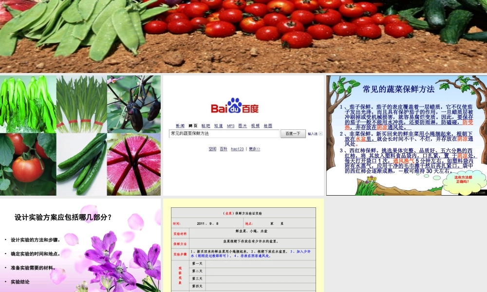 {蔬菜保鲜揭秘}课件