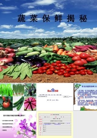 {蔬菜保鲜揭秘}课件