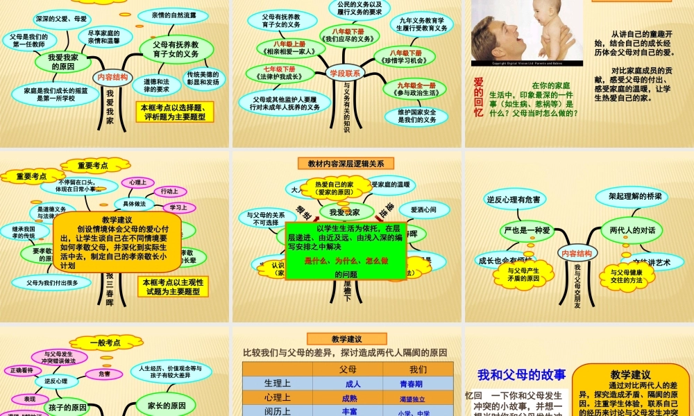 初中思品知识树