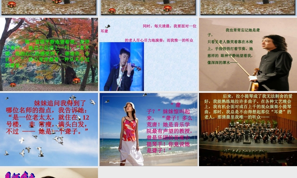 北师大版六年级语文上册《唯一的听众》优秀课件