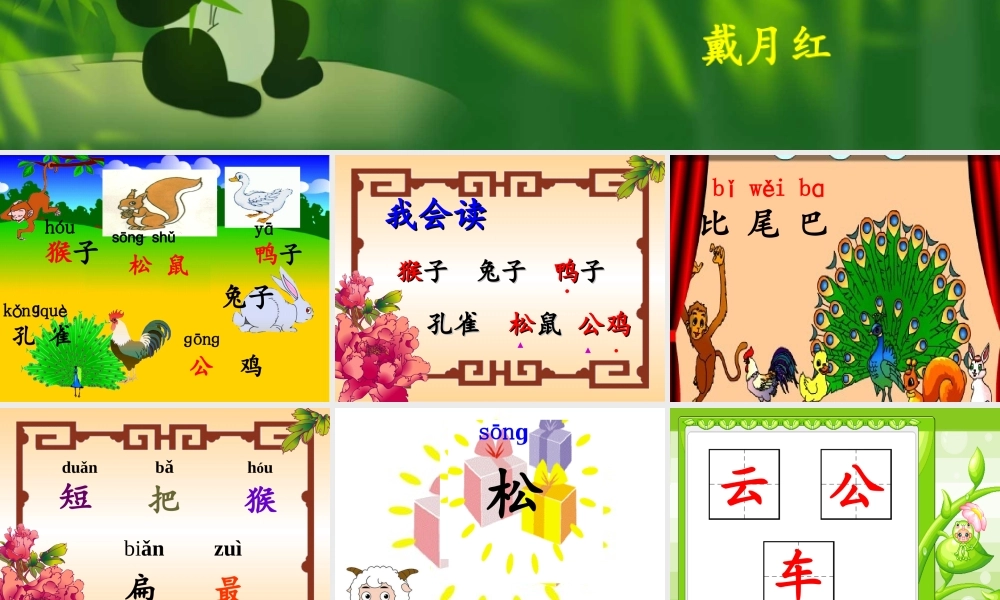 《比尾巴》课件 (2)