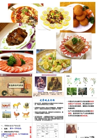 历史②必修11《发达的古代农业》PPT课件