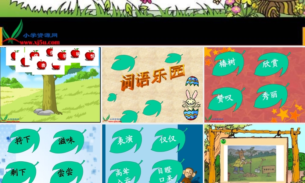 北师大版二年级语文下册《一片树叶_2》PPT课件