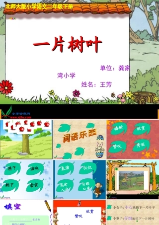 北师大版二年级语文下册《一片树叶_2》PPT课件