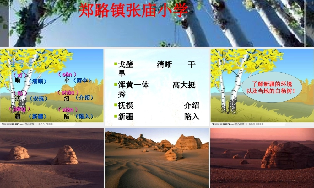 五年级下册白杨